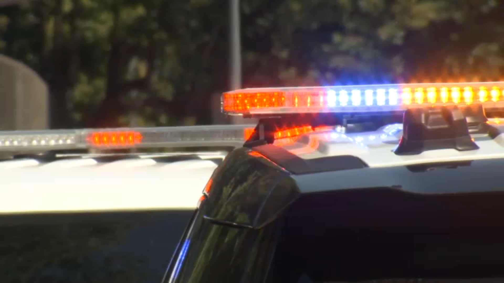 2 youngsters lifeless, 7 others injured in Brooklyn automobile crash: officers