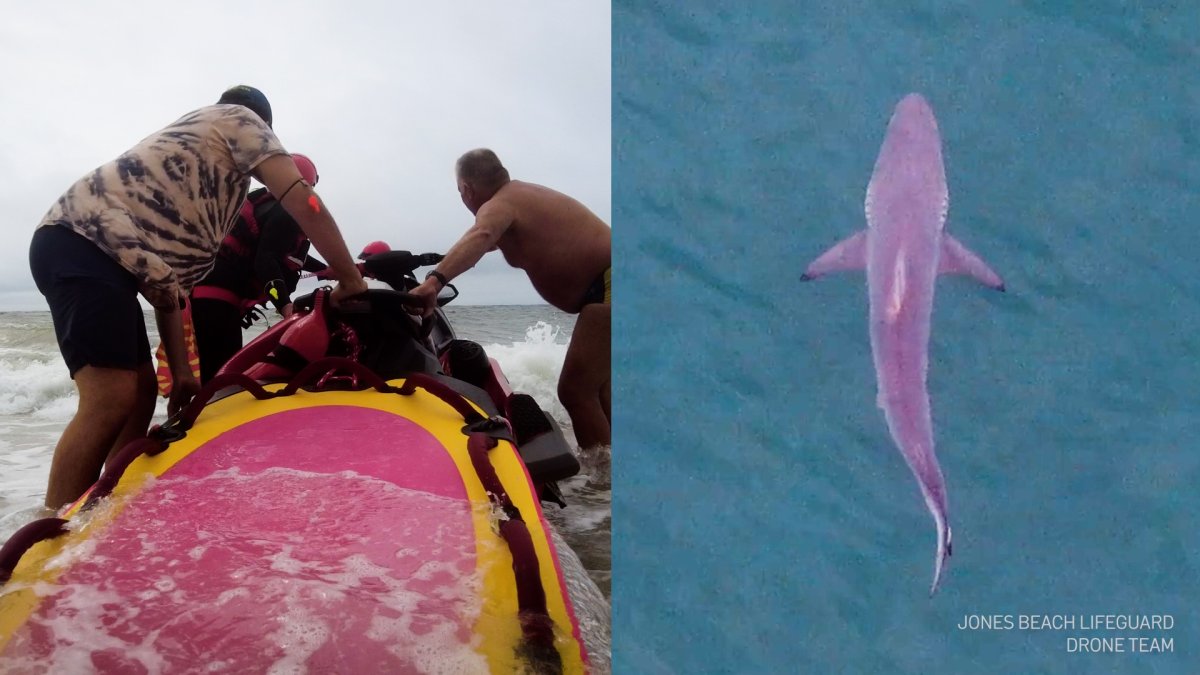 NY Sharks: New ways lifeguards patrol the beach for marine life – NBC New York - Vimarsana News