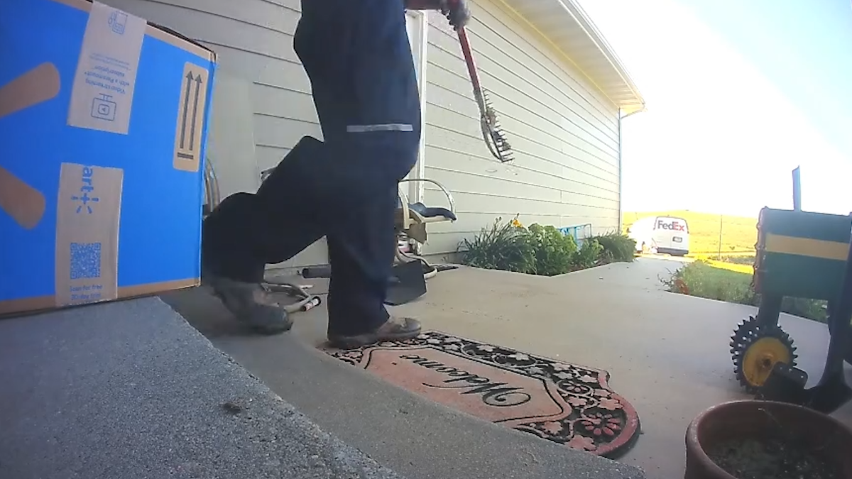 FedEx driver kills rattlesnake during delivery – NBC New York