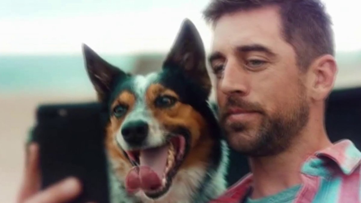 Animal trainers are feeling the impact of Hollywood strikes NBC New York