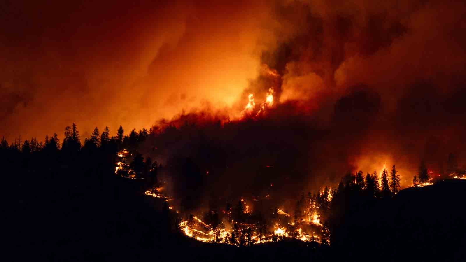 Canadian firefighters wage epic battle to save communities after mass evacuations - Vimarsana News