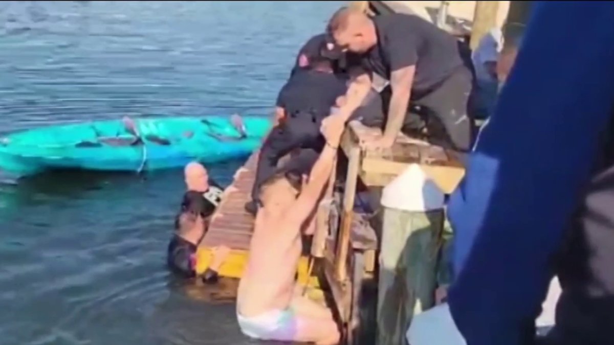Man rescued after car crashes into water on Long Island – NBC New York