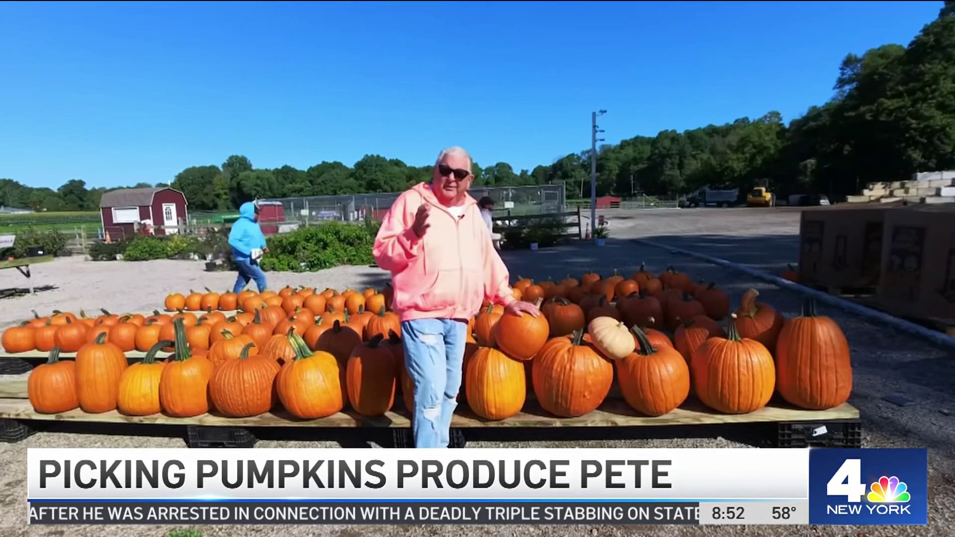 Produce Pete: Pumpkins – NBC New York