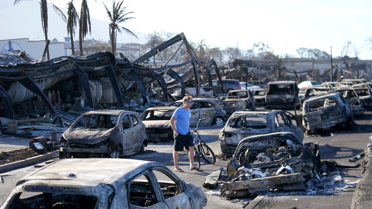 Maui wildfires death toll drops to 97 after DNA testing – NBC New York - Vimarsana News