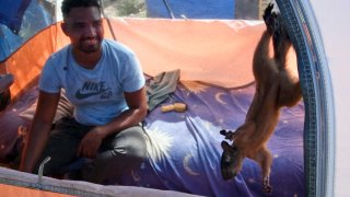 In this image taken from video, Niko, a pet squirrel, and his owner, Yeison, in their tent at a migrant camp, Wednesday, Sept. 20, 2023 in Matamoros, Mexico.