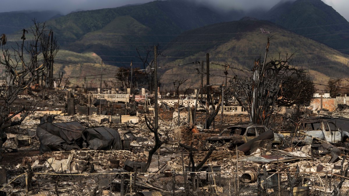 Hawaiian Electric at center of first congressional hearing on Maui wildfires – NBC New York - Vimarsana News