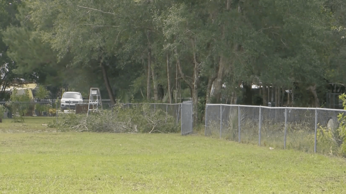 Man shot while trimming trees in Florida – NBC New York - Vimarsana News