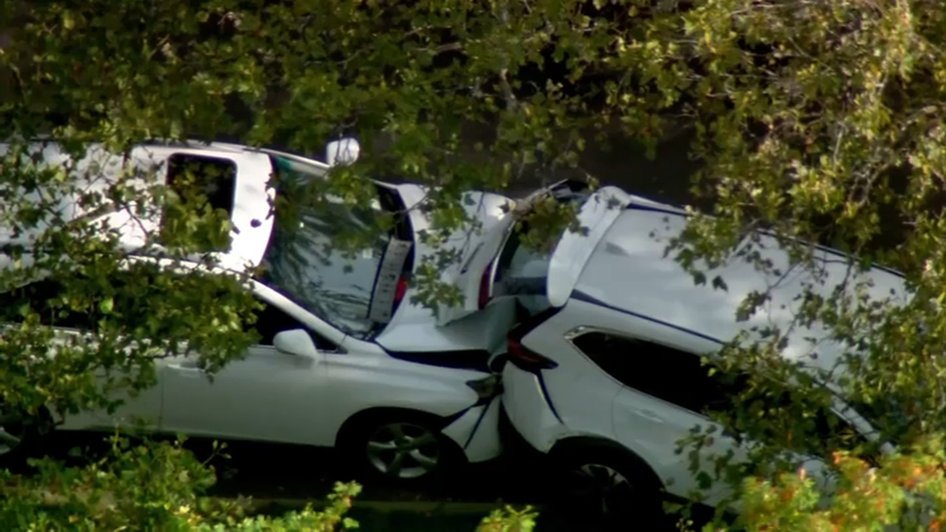 Queens deadly crash: 1 killed in Glen Oaks incident – NBC New York