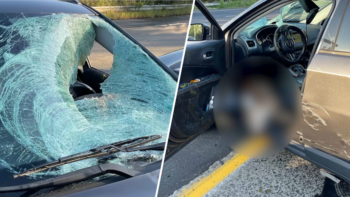 Nj News Deer Leaps Through Windshield Causing Crash On Route 21 In Clifton Nbc New York