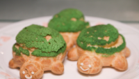 Check Out The Cutest Turtle Cream Puffs