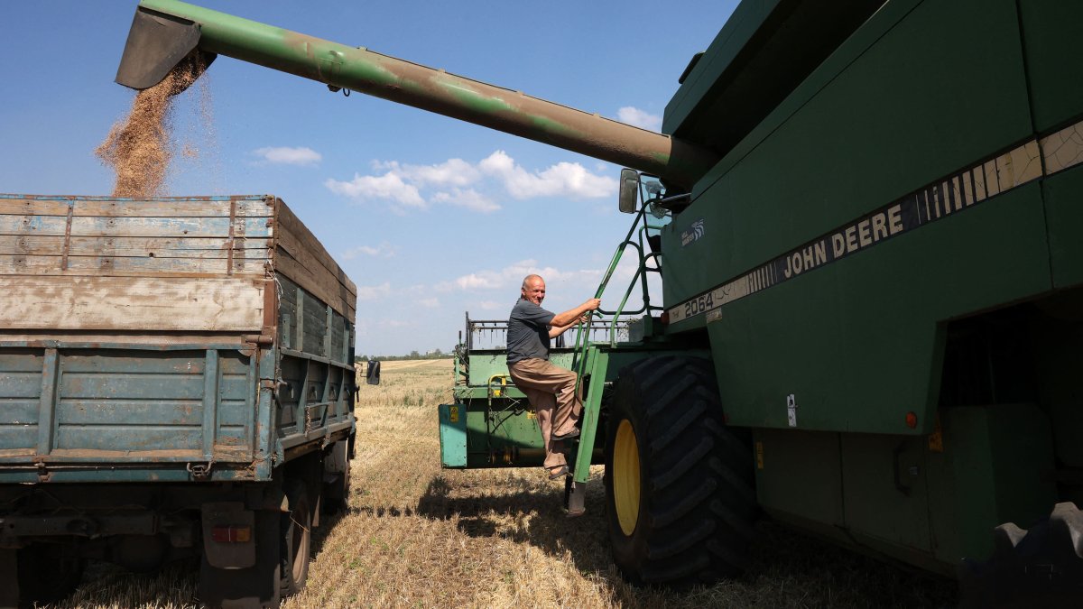 Veteran investor David Roche has a contrarian call on grain prices, says prices will soar - Vimarsana News