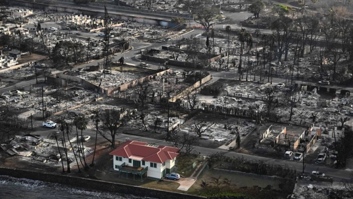 Climate change is driving insurance rates up, forcing developers to add weather-proofing - Vimarsana News