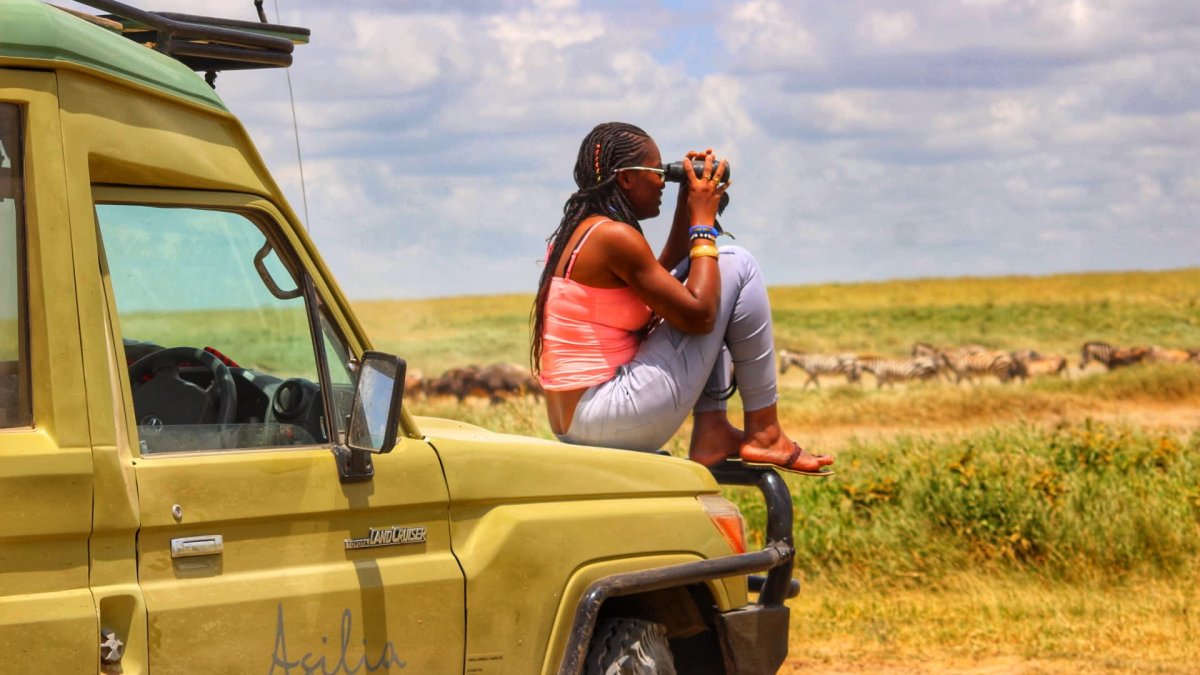 The best places — and best times — to take a safari – NBC New York