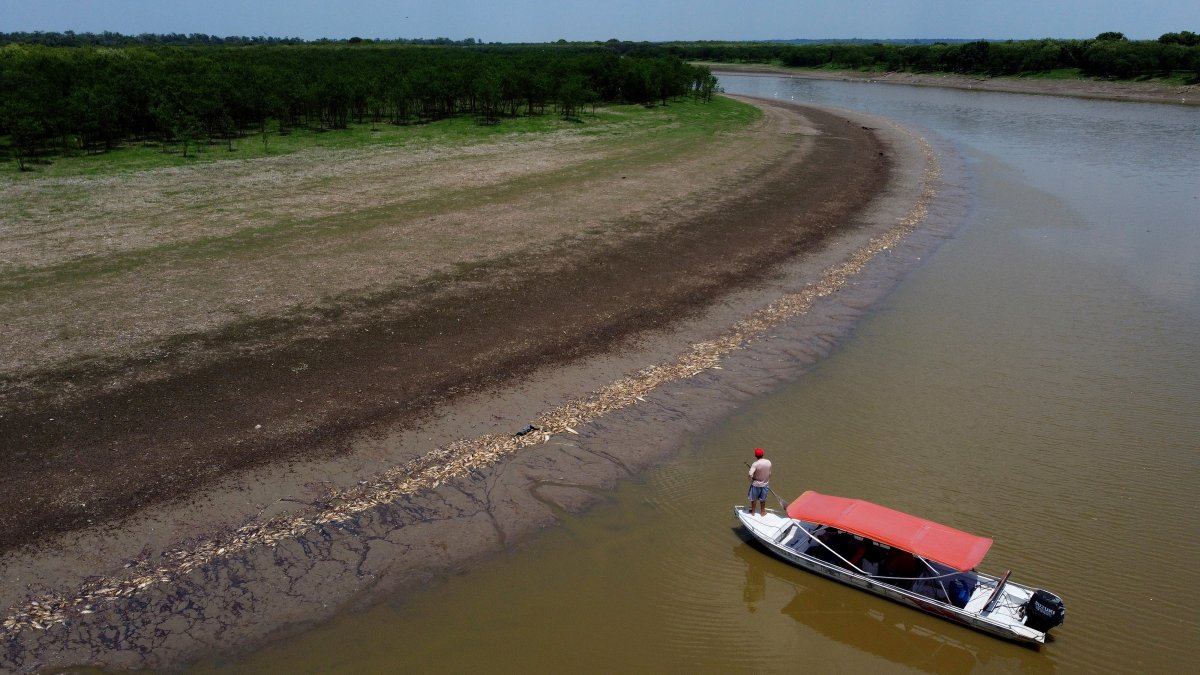 Brazil's Amazon faces drought and high water temperatures, causing more than 100 dolphins to die – NBC New York - Vimarsana News