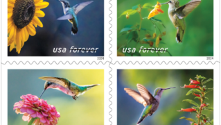 Garden Delights stamps from the USPS 2024 collection.