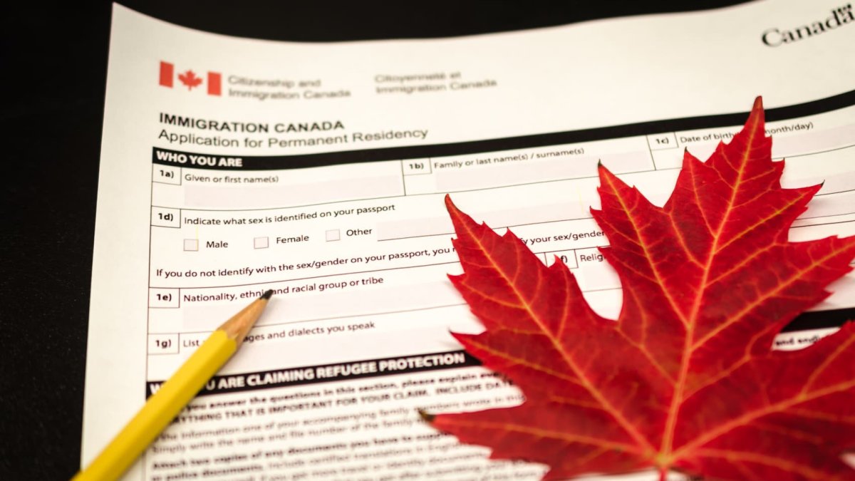 The U.S. has lost thousands of tech workers to Canada — here's why - Vimarsana News