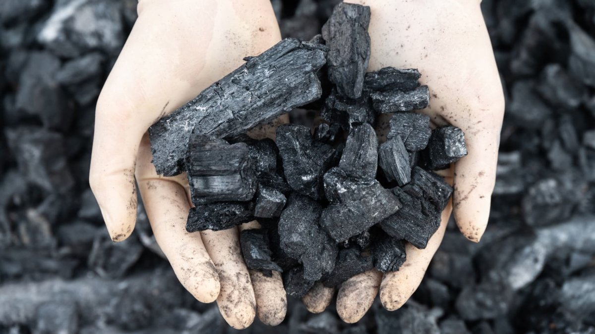 Rare earth discoveries mean coal mines could have a key role to play in the energy transition - Vimarsana News