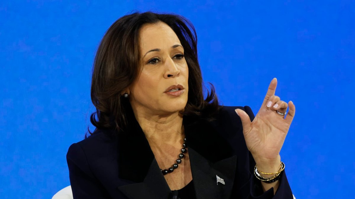 VP Kamala Harris ducks questions on TikTok, Elon Musk antisemitic post - Vimarsana News