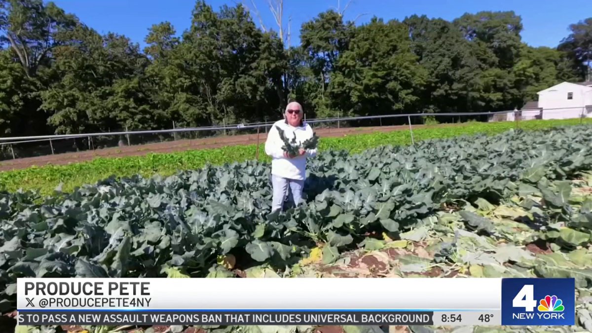 Produce Pete Broccoli NBC New York