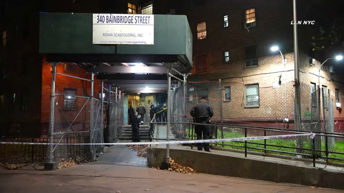 Woman found with fatal gunshot wound to neck in Brooklyn Thanksgiving ...