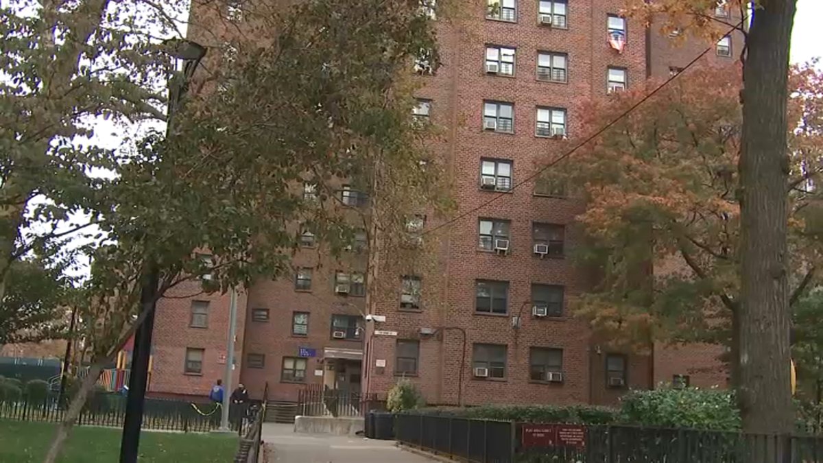 男子因在布鲁克林开枪打伤孩子母亲而被警方逮捕