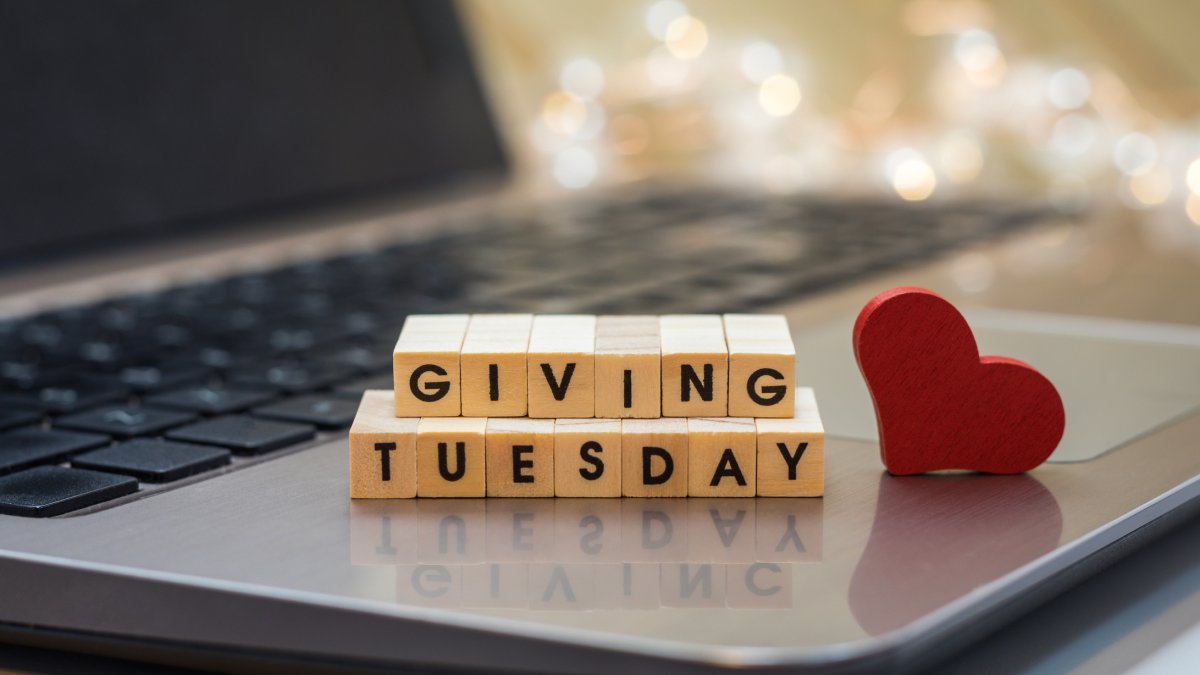 Supporting nonprofits on GivingTuesday could have a big impact – NBC New York - Vimarsana News