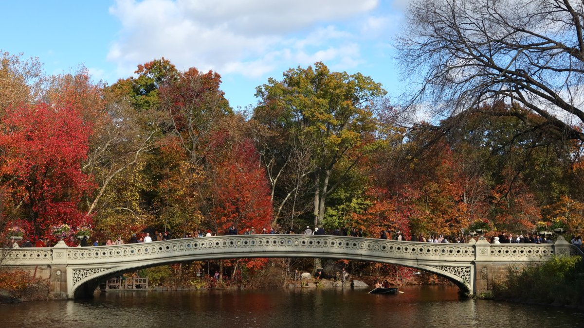 Bow Bridge, popular Central Park photo spot, closed for repairs: What to know – NBC New York - Vimarsana News
