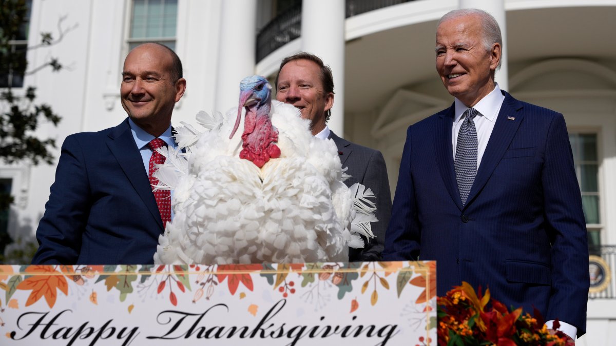 Biden spends 81st birthday pardoning Thanksgiving turkeys – NBC New York - Vimarsana News