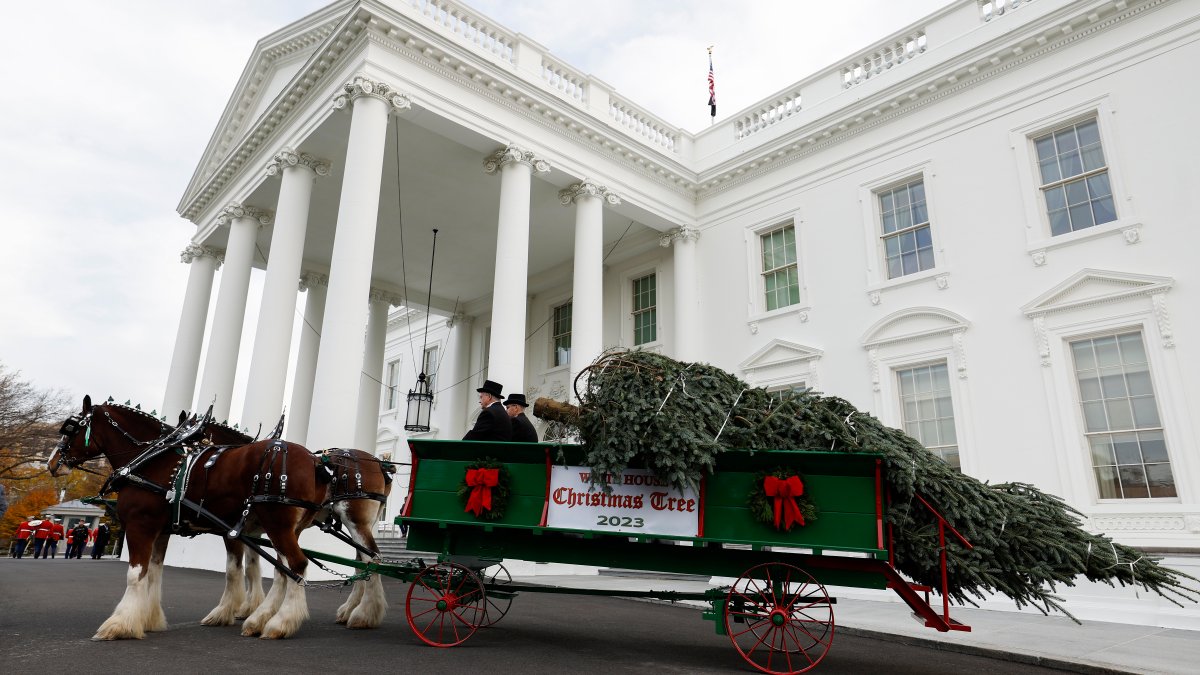 See the 2023 White House holiday decorations – NBC New York - Vimarsana News