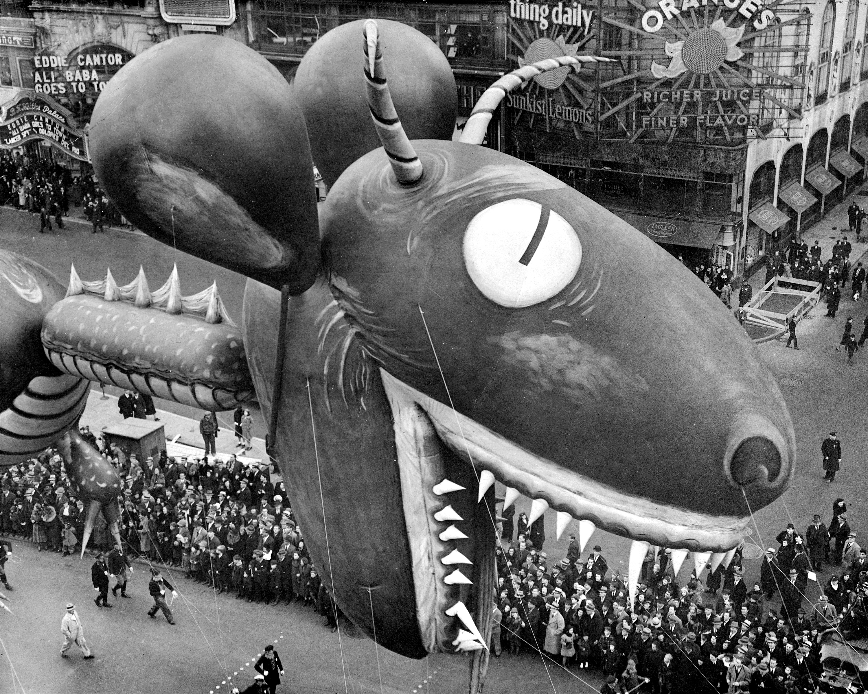 Sea serpent (surprise! it’s only a big balloon!) swoops down on crowds watching thirteenth annual Macy’s Thanksgiving Day parade on Broadway and 56th St. (Photo by Walter Kelleher/NY Daily News Archive via Getty Images)