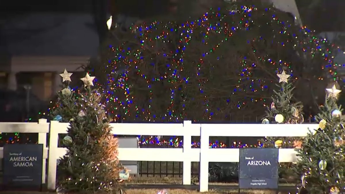 Wind topples National Christmas Tree at White House NBC New York