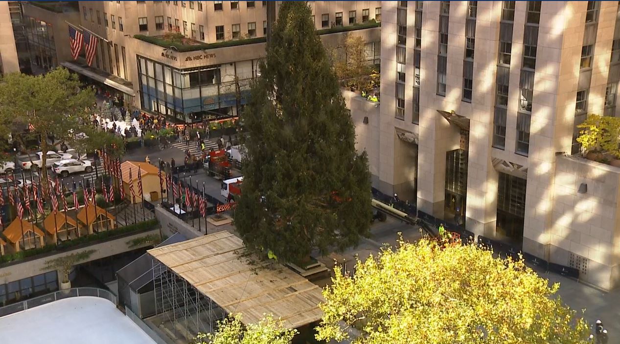 Rockefeller Center Christmas Tree arrives in New York City NBC New York