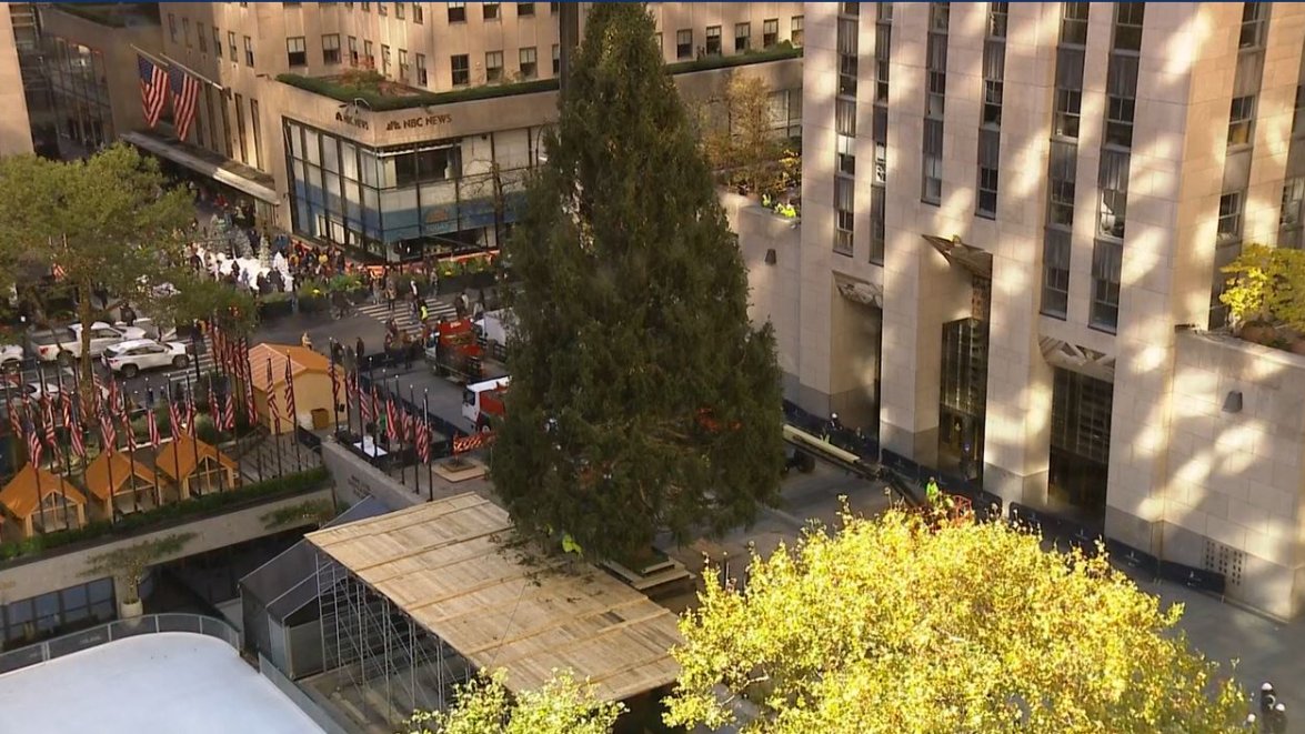Rockefeller Center Christmas Tree arrives in New York City – NBC New York