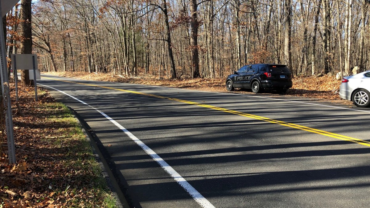 Scarsdale couple identified as victims of fatal Thanksgiving crash in Conn. NBC New York