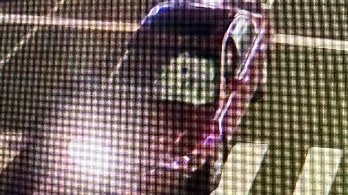 Police search for driver who hit and killed 74-year-old in Stamford, Conn. - Vimarsana News