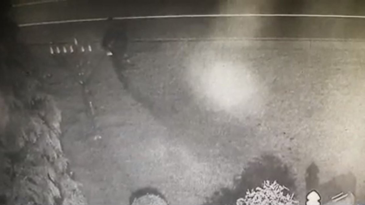 Long Island news: Vandal damages menorah in West Hempstead – NBC New York