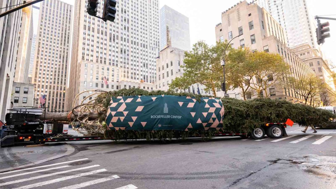 Who picks the Rockefeller Center Christmas tree? – NBC New York