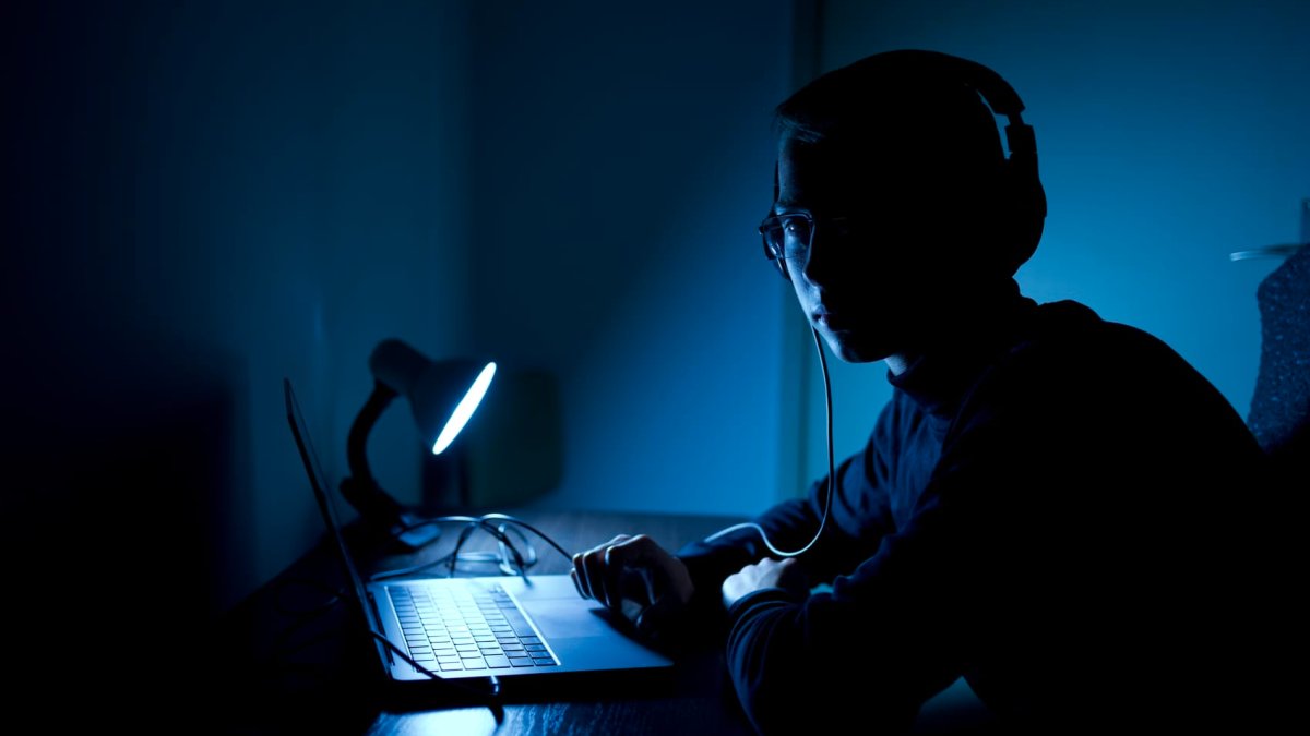 Hackers see wealth of information to steal in children's school records - Vimarsana News