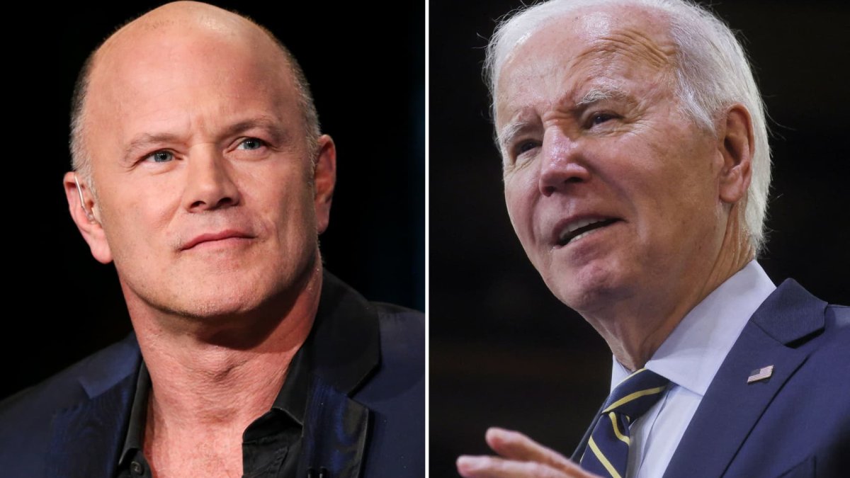 Crypto investor Mike Novogratz, major Biden 2020 donor, to back long shot Dean Phillips - Vimarsana News
