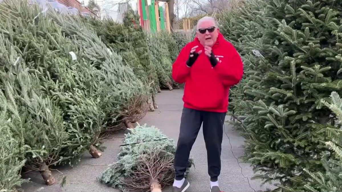 Produce Pete Picking the perfect Christmas tree NBC New York