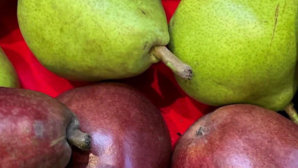 Produce Pete Pears NBC New York