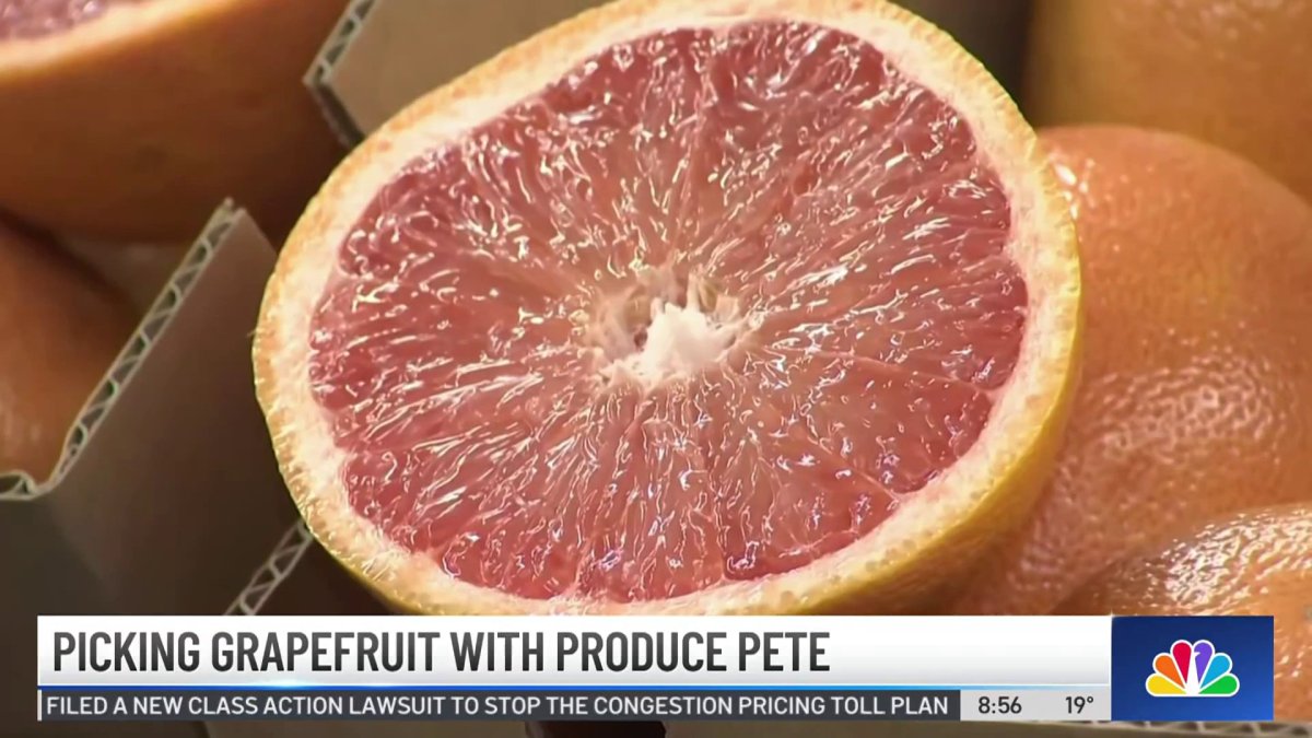 Produce Pete Picking grapefruit NBC New York