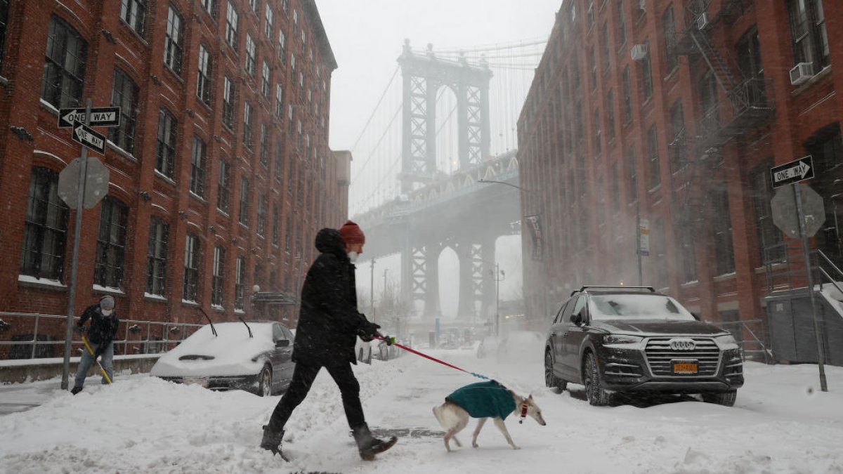 Winter weather safety tips for pets – NBC New York