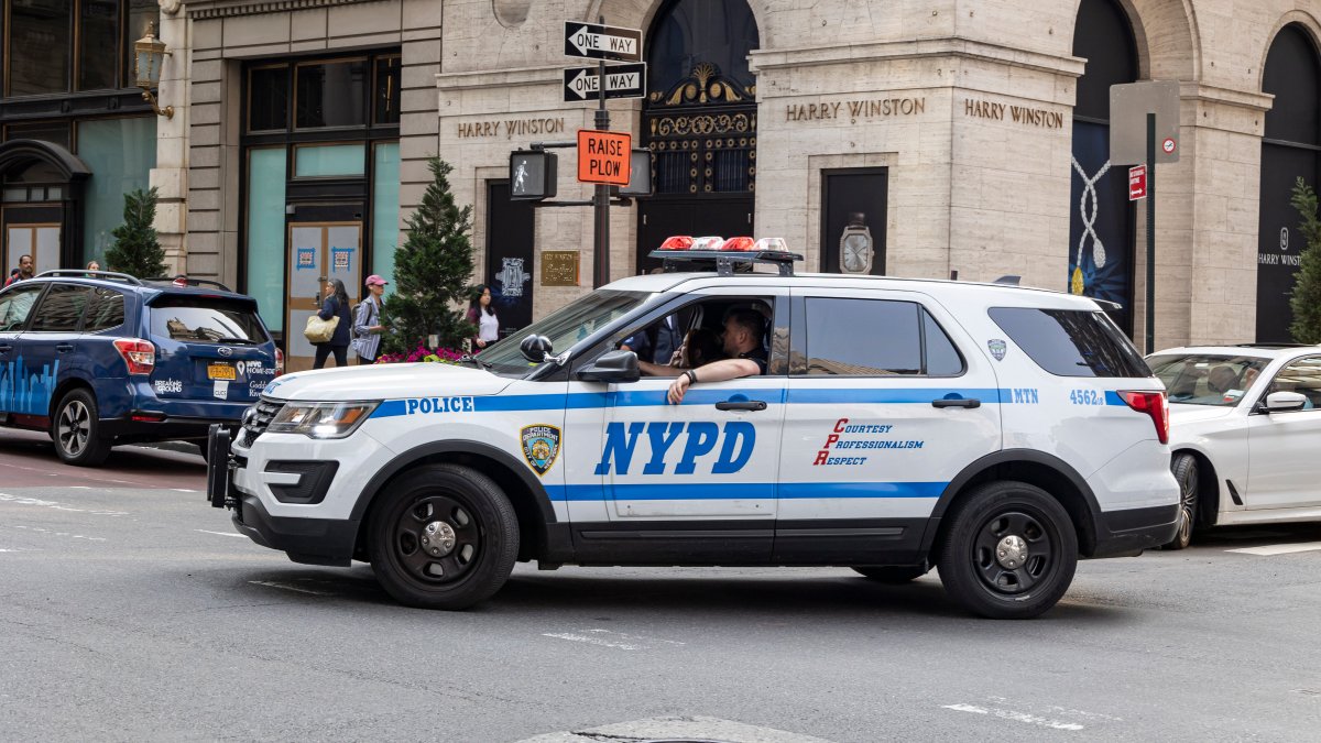 市议会否决亚当斯的提案，纽约警察必须记录被询问人的种族