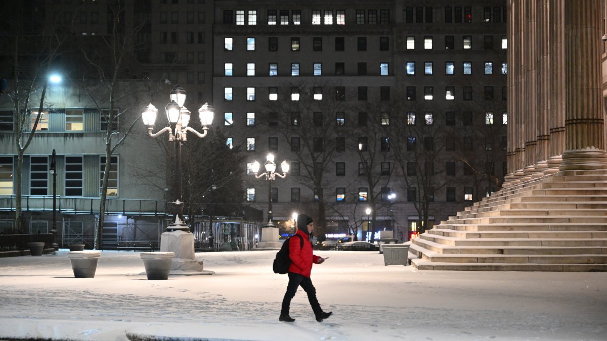 how much snow does new york city get