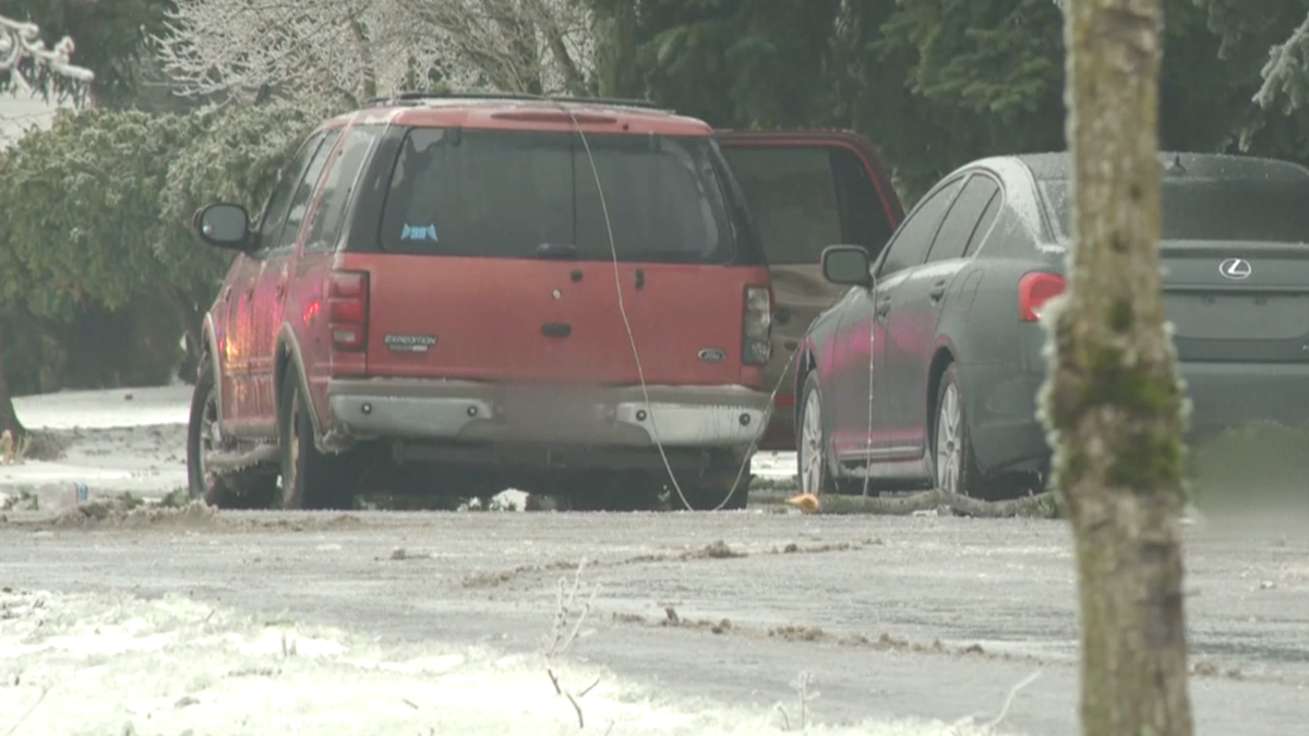 3 dead after power line falls on SUV during Portland ice storm – NBC New York - Vimarsana News