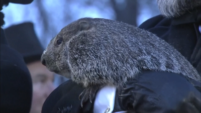 The origin story of Groundhog Day
