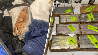 Cocaine shrimp bust at JFK Airport nets 18 kilos of drugs – NBC New York