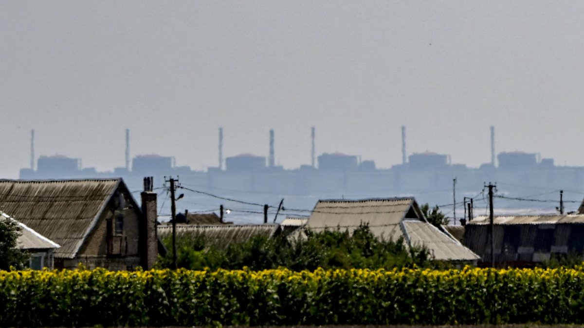 Zaporizhzhia nuclear plant loses backup power; Zelenskyy urges Poland border talks after farmer protests