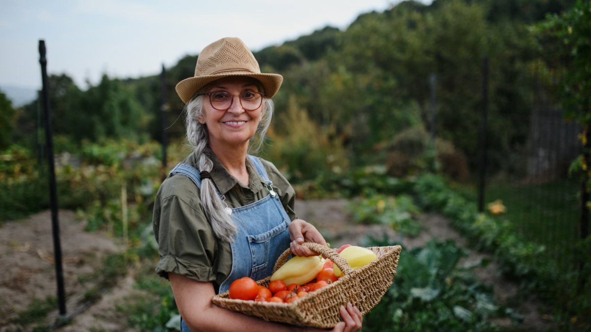 This island in Italy is home to the world's longest-living people—here's how they eat to promote longevity - Vimarsana News